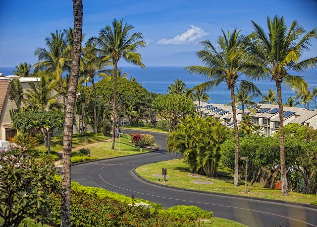 Maui Kamaole #F-210