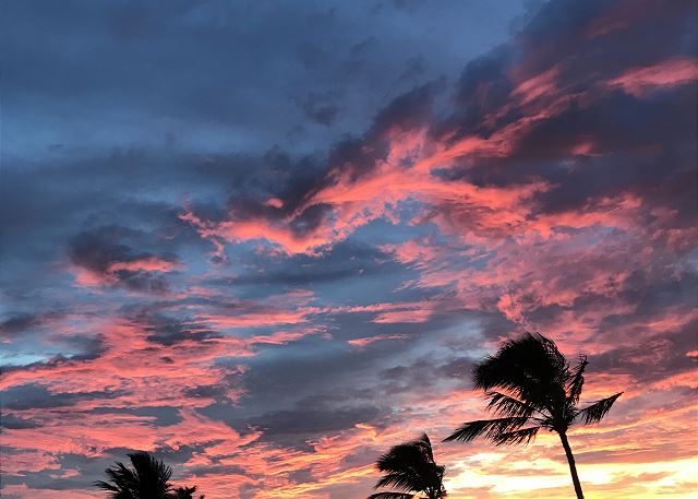 Maui Kamaole #L-205