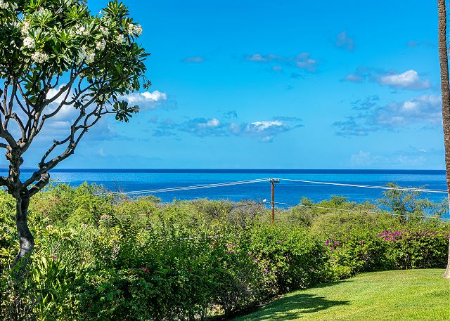 Maui Kamaole #A-102