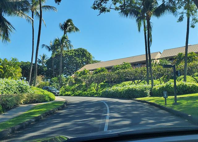 Maui Kamaole #K-103