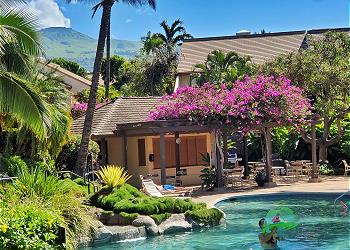 Maui Kamaole #A-205