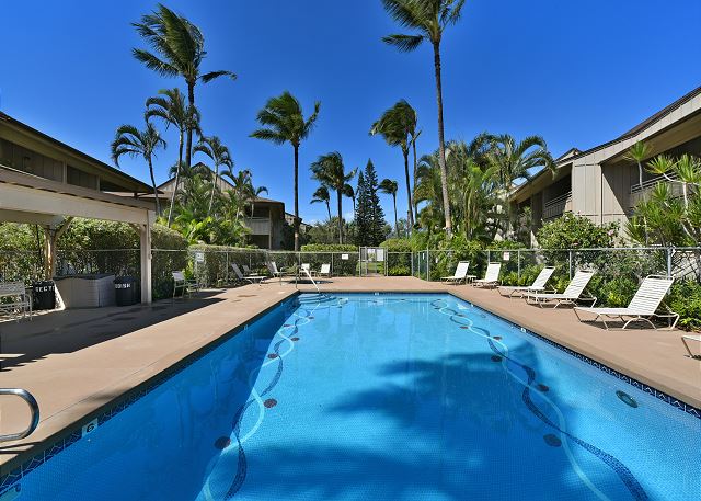 Condos on Maui: Kihei Bay Vista: Rentals Maui