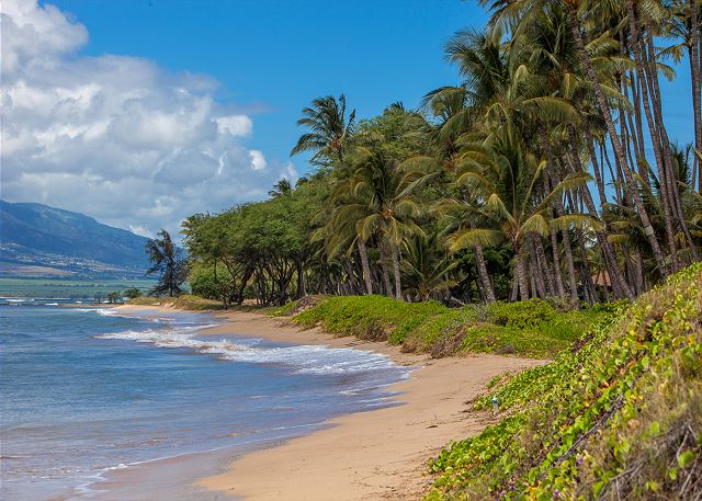 Waiohuli Beach Hale is situated on a white sandy beach.