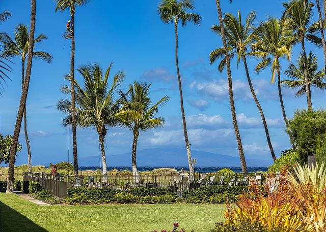 Waiohuli Beach Hale: Oceanview Maui Rentals: Condo Vacation Rental