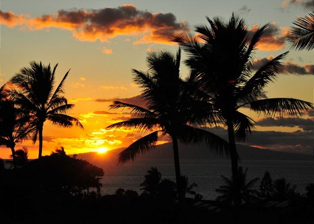 Maui Kamaole #J-120