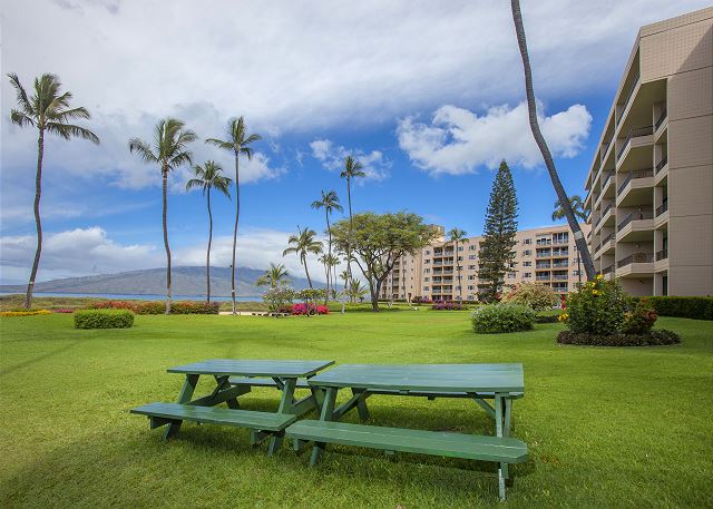 Kihei Maui Vacation Rental: Koa Lagoon Rentals: Hawaii Condo Accommodations