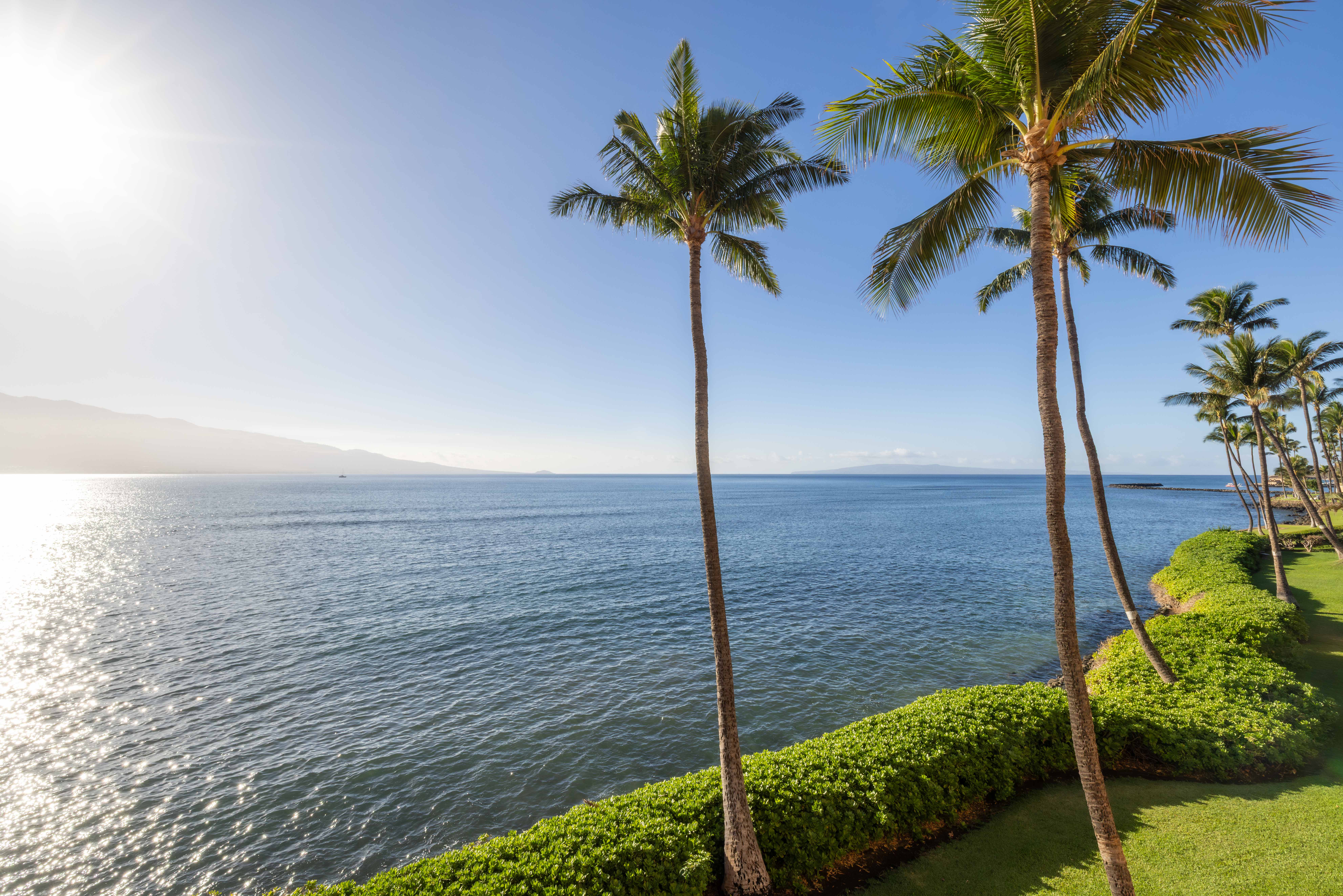 Island Sands Resort 310 | Photo 4