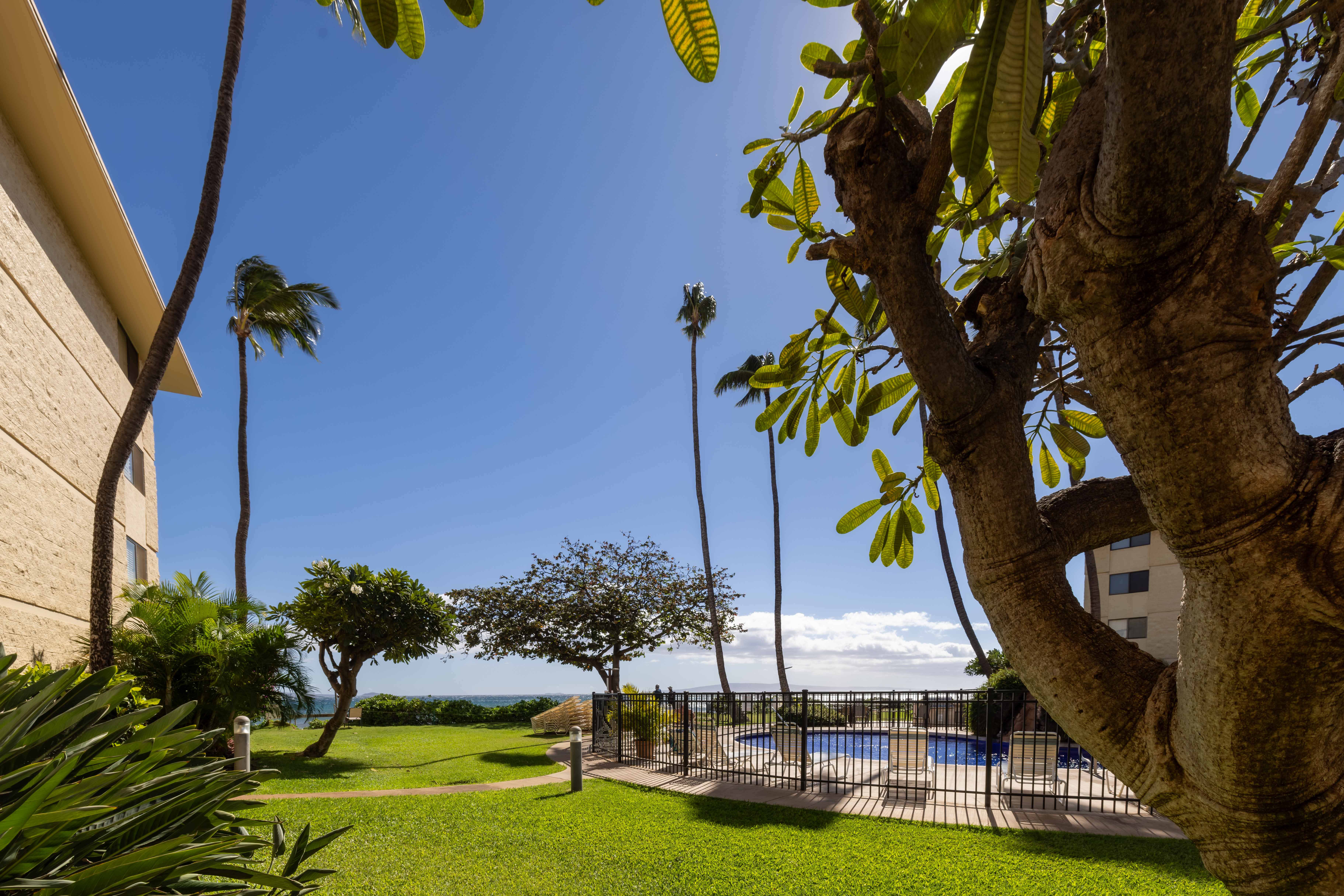 Kanai A Nalu Resort 115 | Photo 60