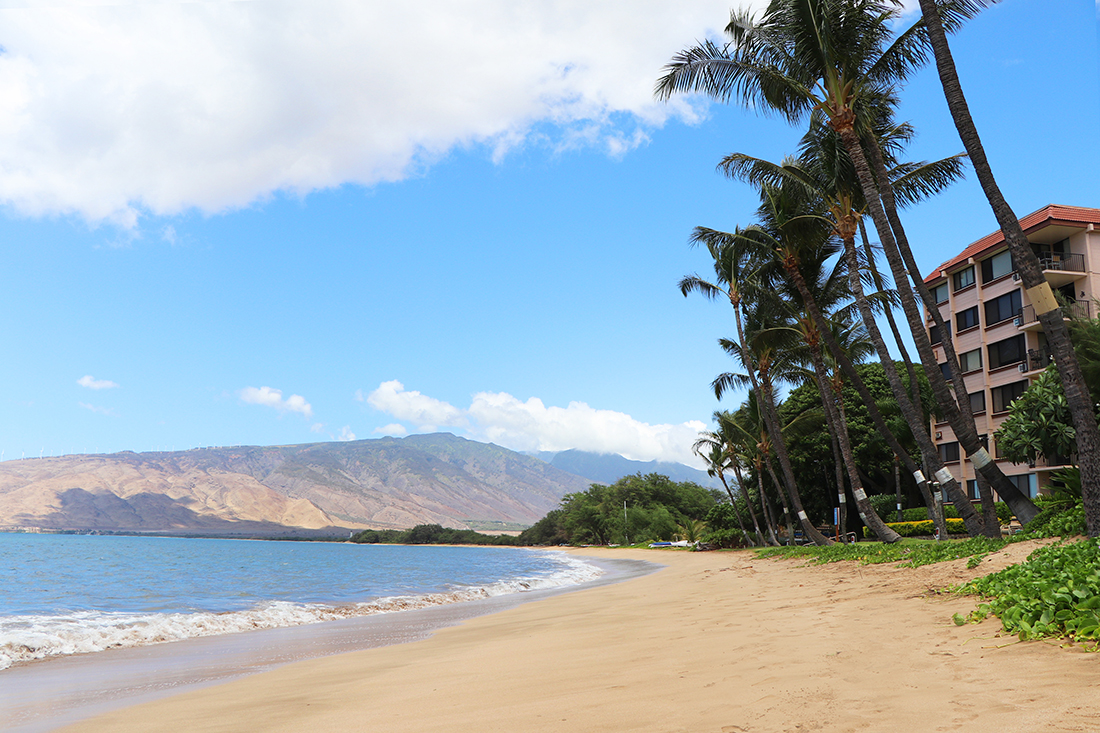 Kealia Resort 101 | Photo 25