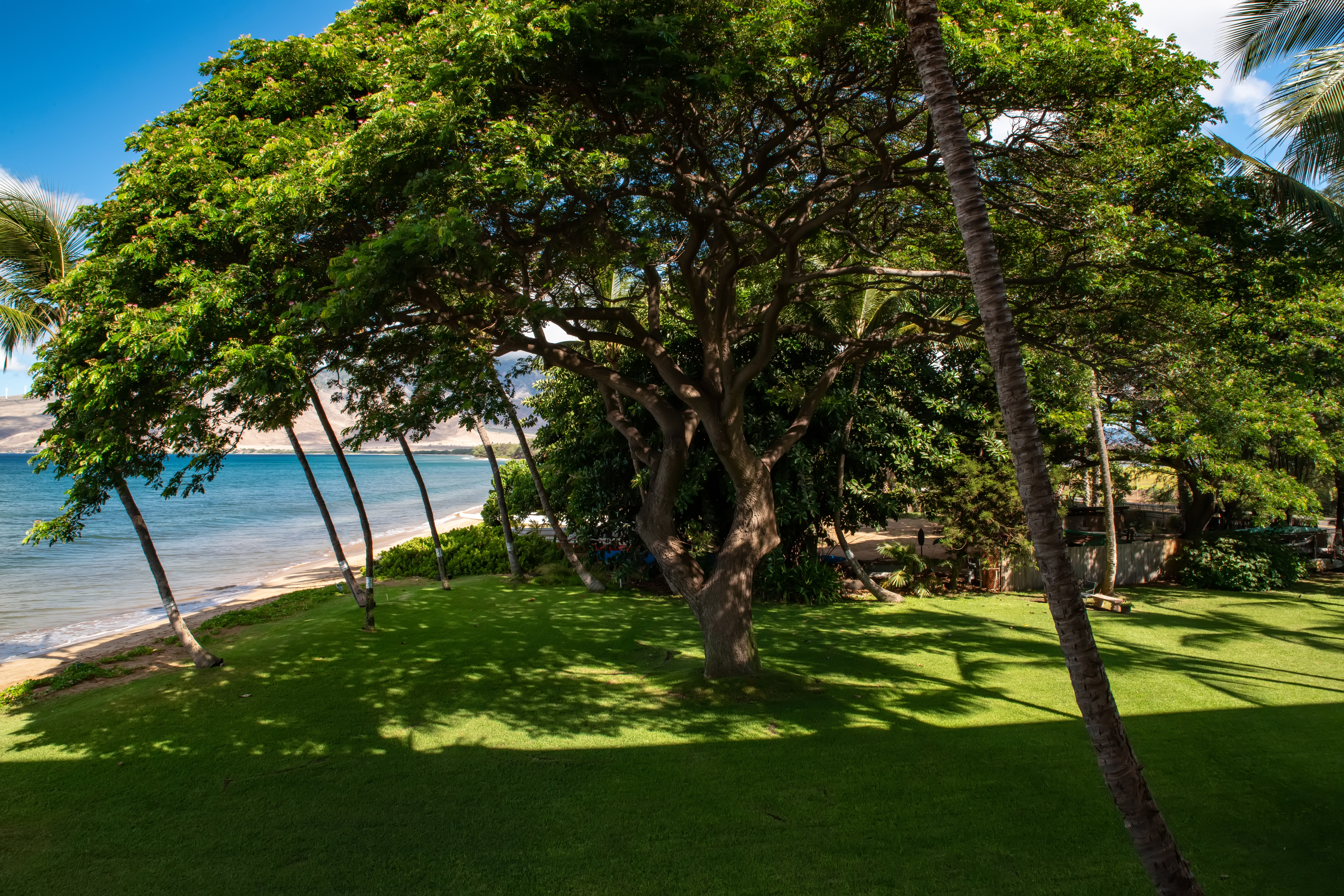 Kealia Resort 205 | Photo 41