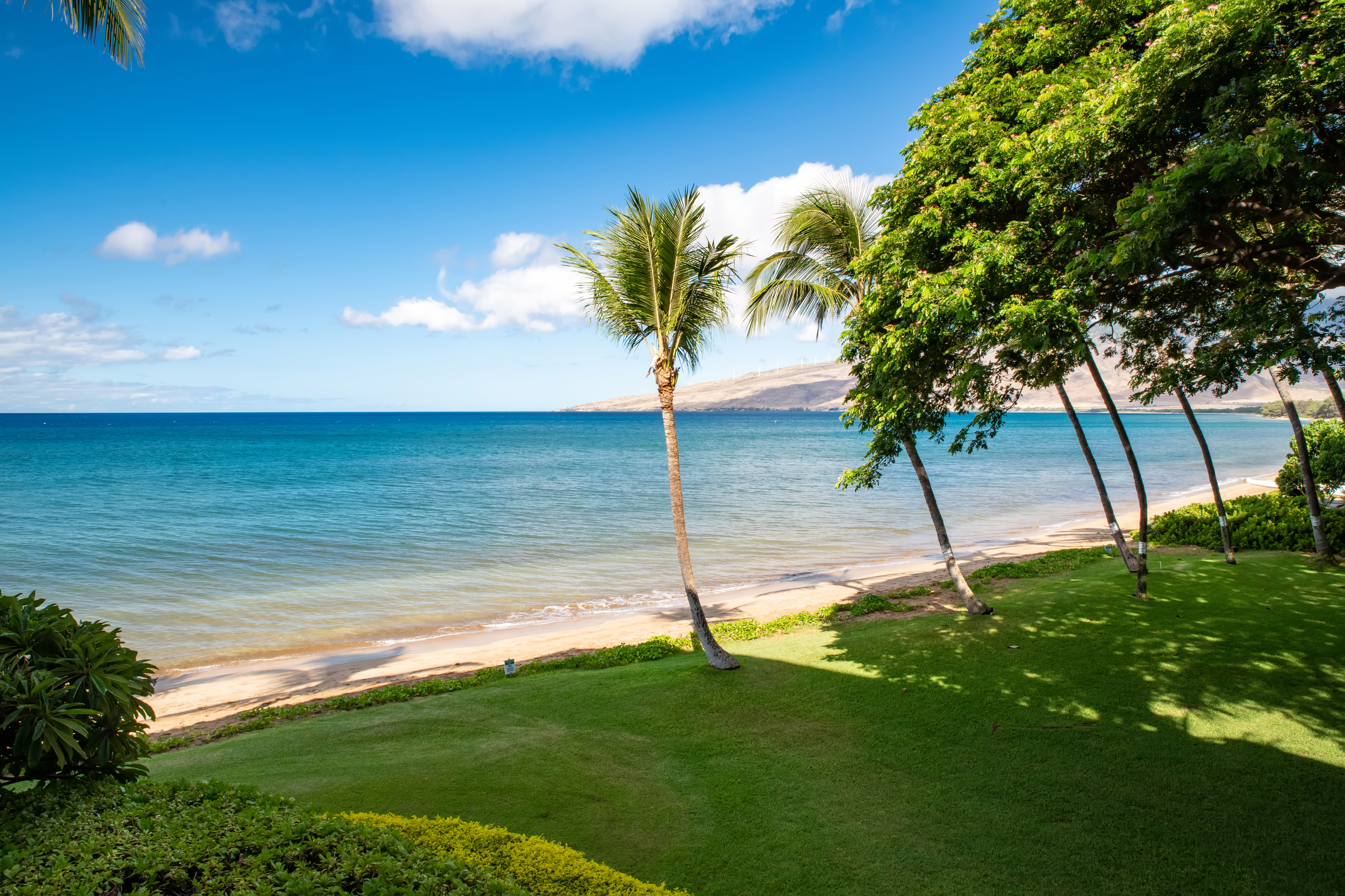 Kealia Resort 205 | Photo 40