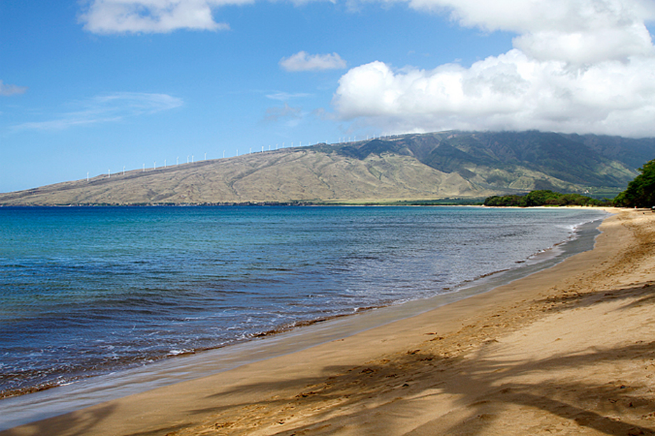 Kealia Resort 205 | Photo 43