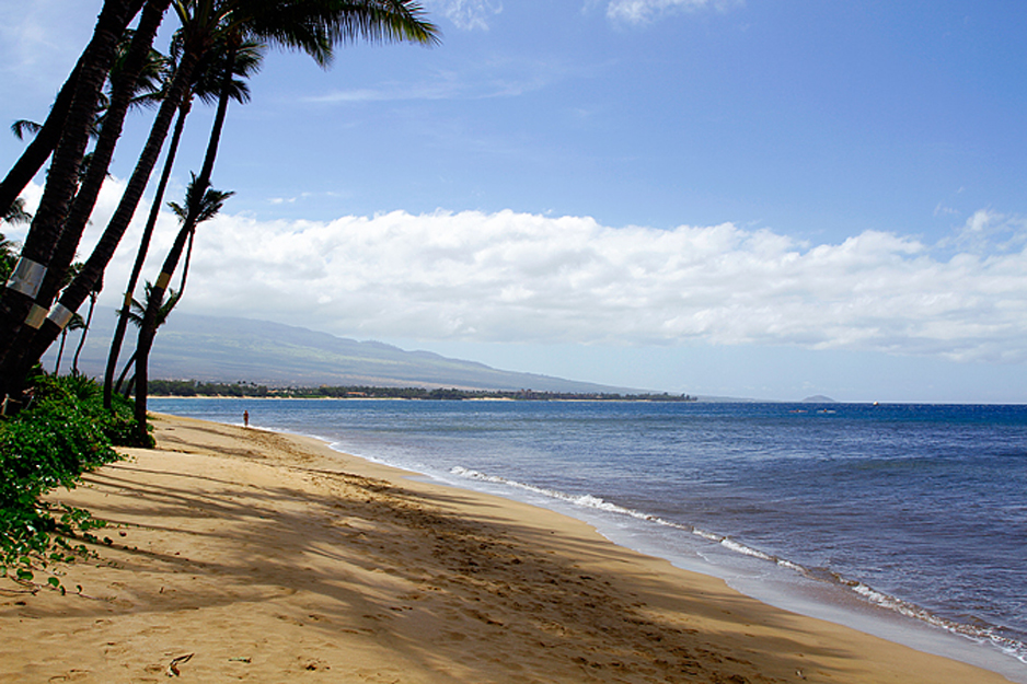 Kealia Resort 205 | Photo 42