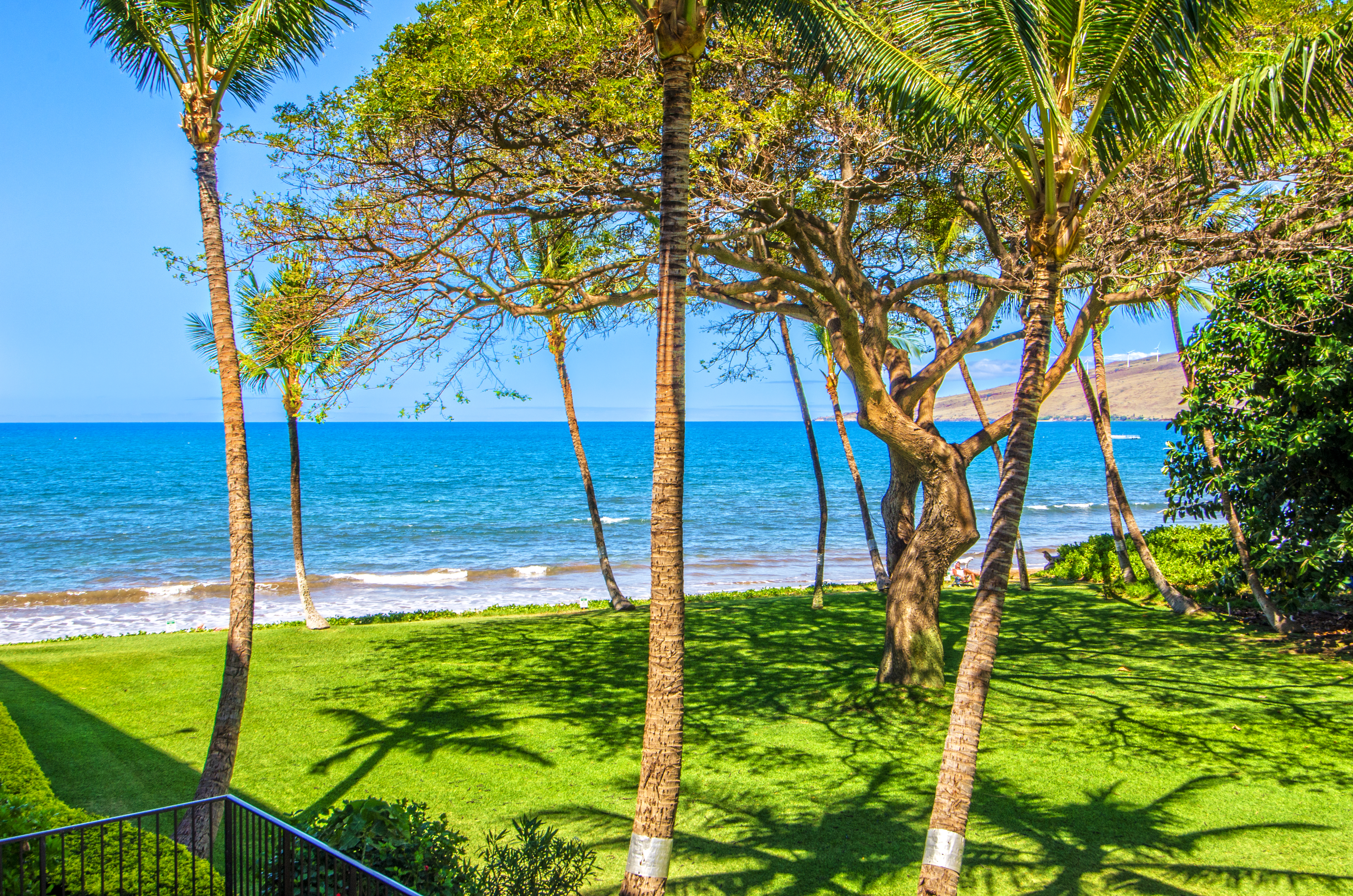 Kealia Resort 208 | Photo 43