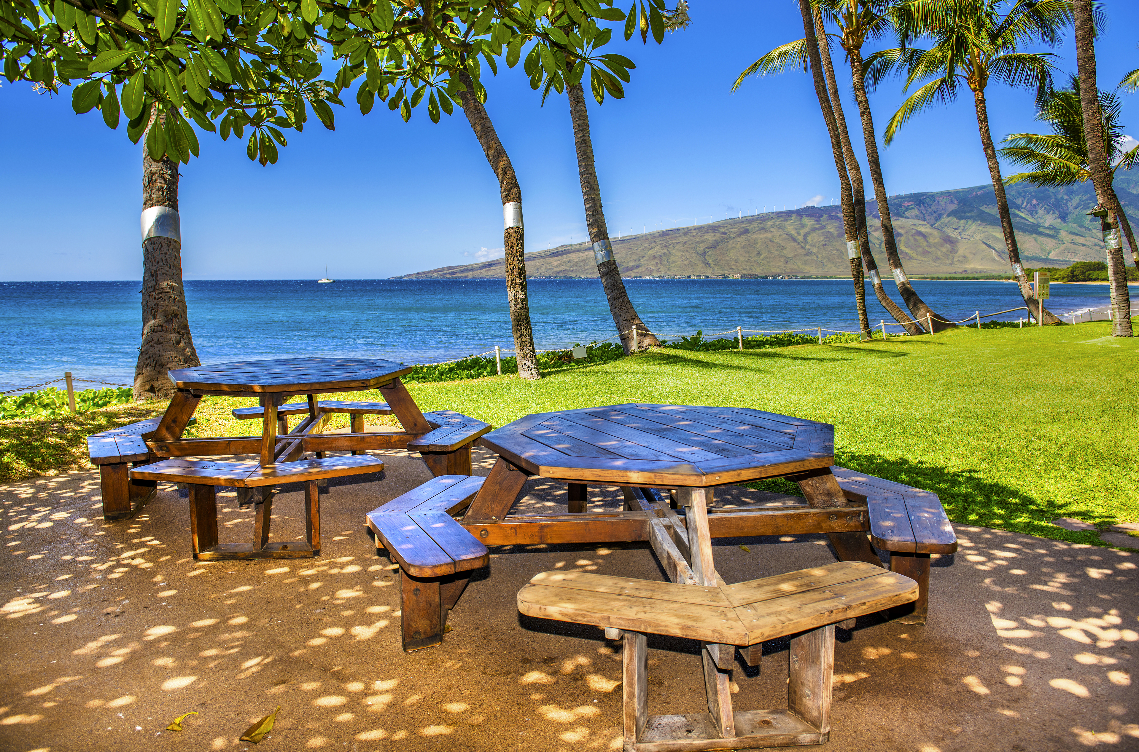 Kealia Resort 208 | Photo 36