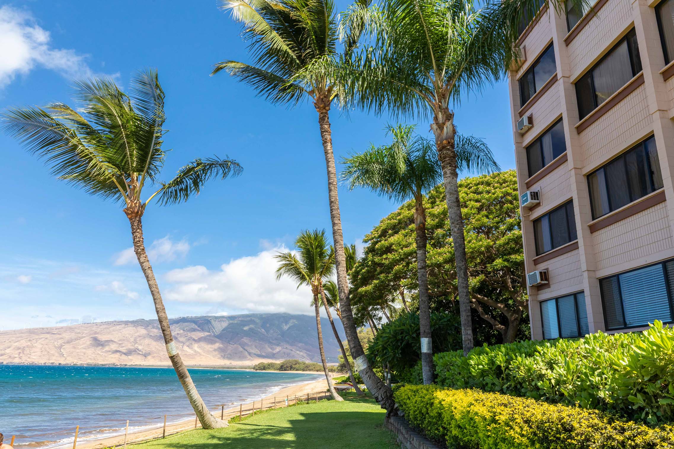 Kealia Resort 405 | Photo 23