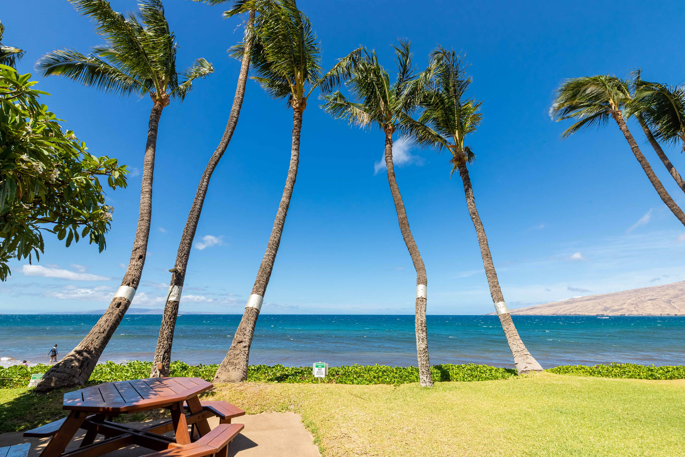 Kealia Resort 406 | Photo 35