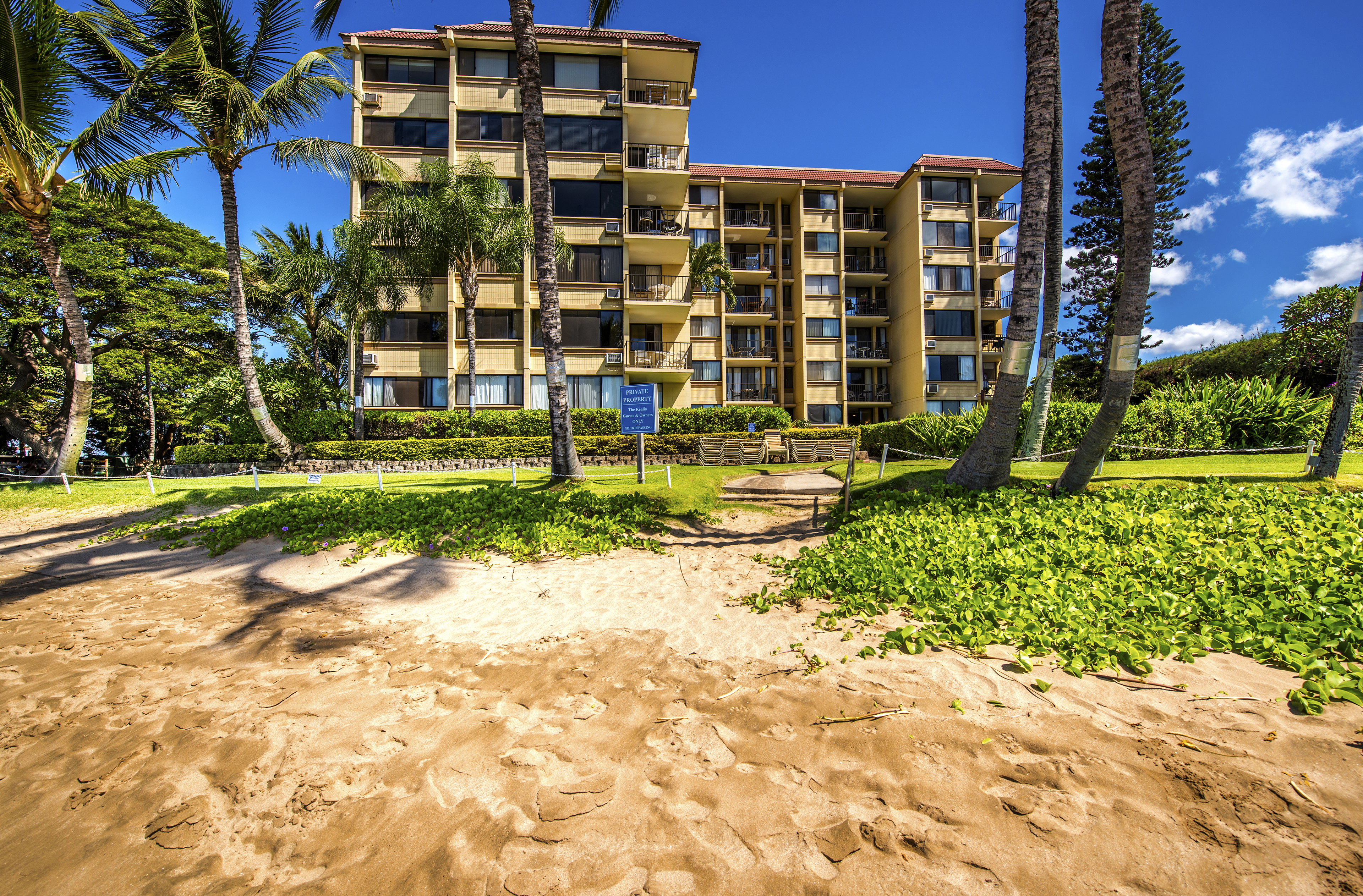 Kealia Resort 501 | Photo 25