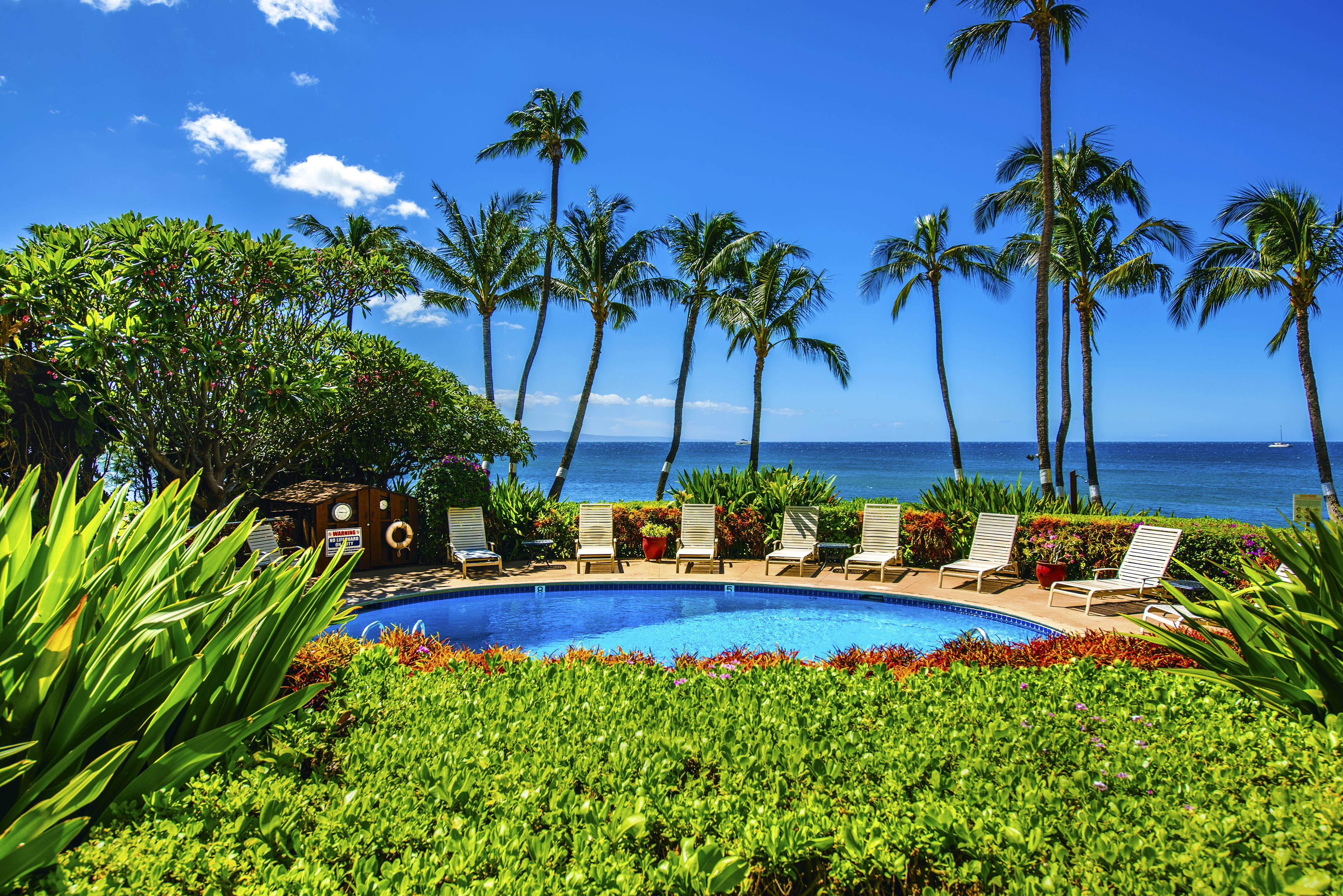 Kealia Resort 501 | Photo 13