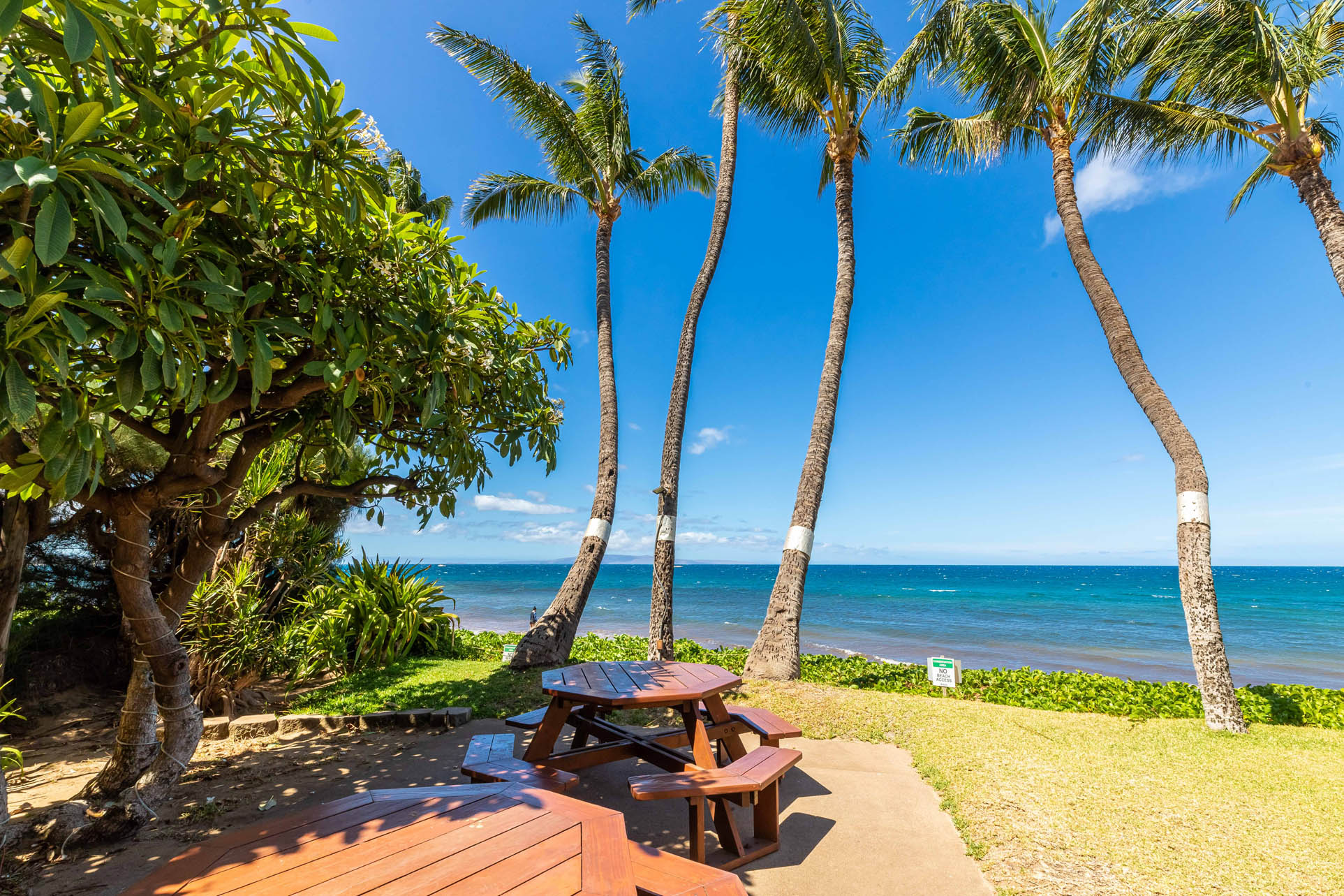 Kealia Resort 506 | Photo 31