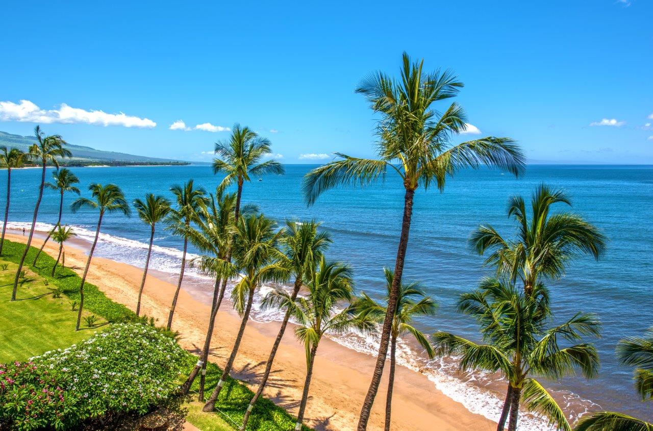 Kealia Resort 604 | Photo 2