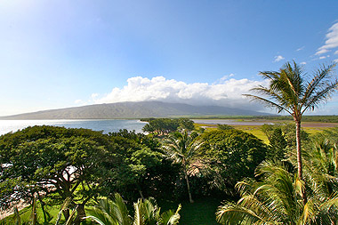 Kealia Resort 608 | Photo 12