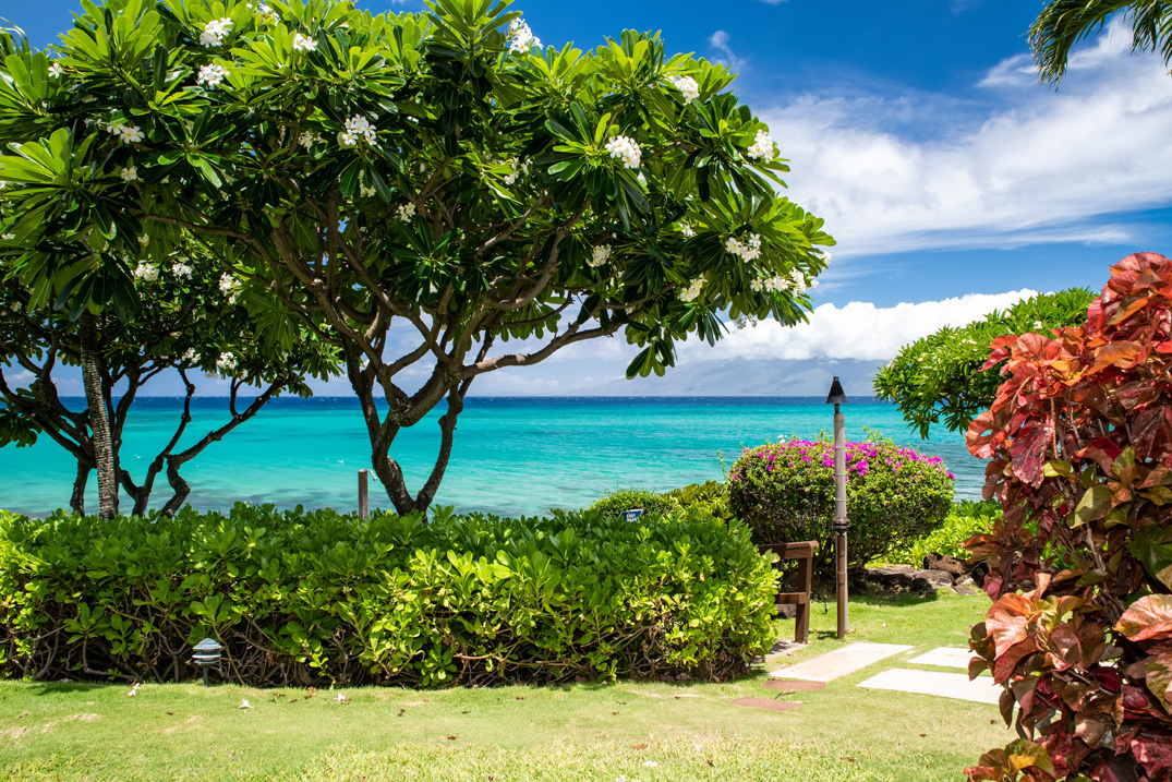 Kuleana Resort 401 | Photo 18