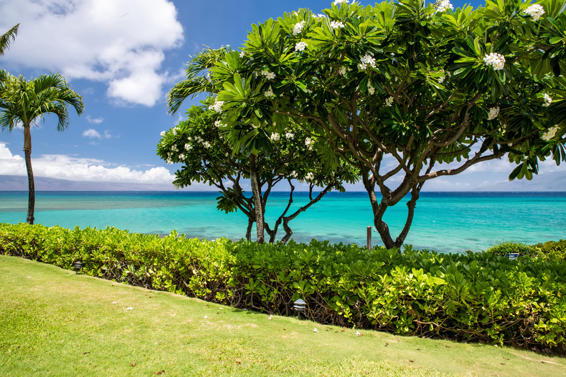 Kuleana Resort 401 | Photo 17