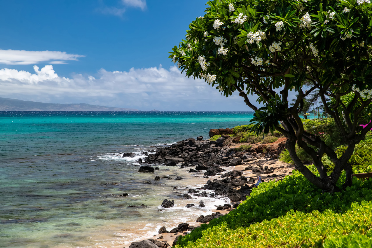 Kuleana Resort 401 | Photo 23