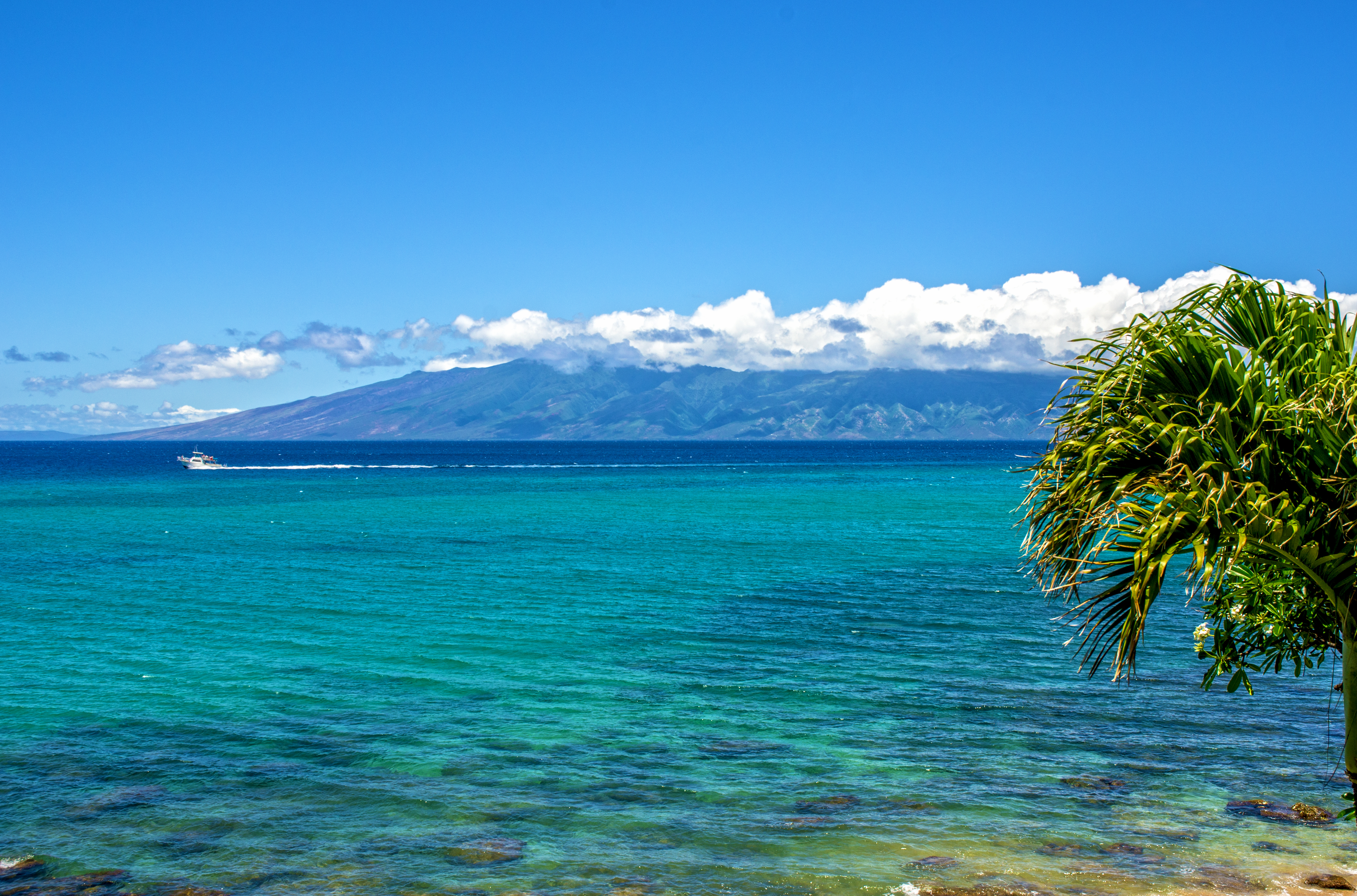 Kuleana Resort 413 | Photo 25