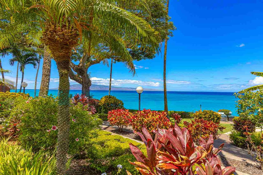 Kuleana Resort 413 | Photo 29