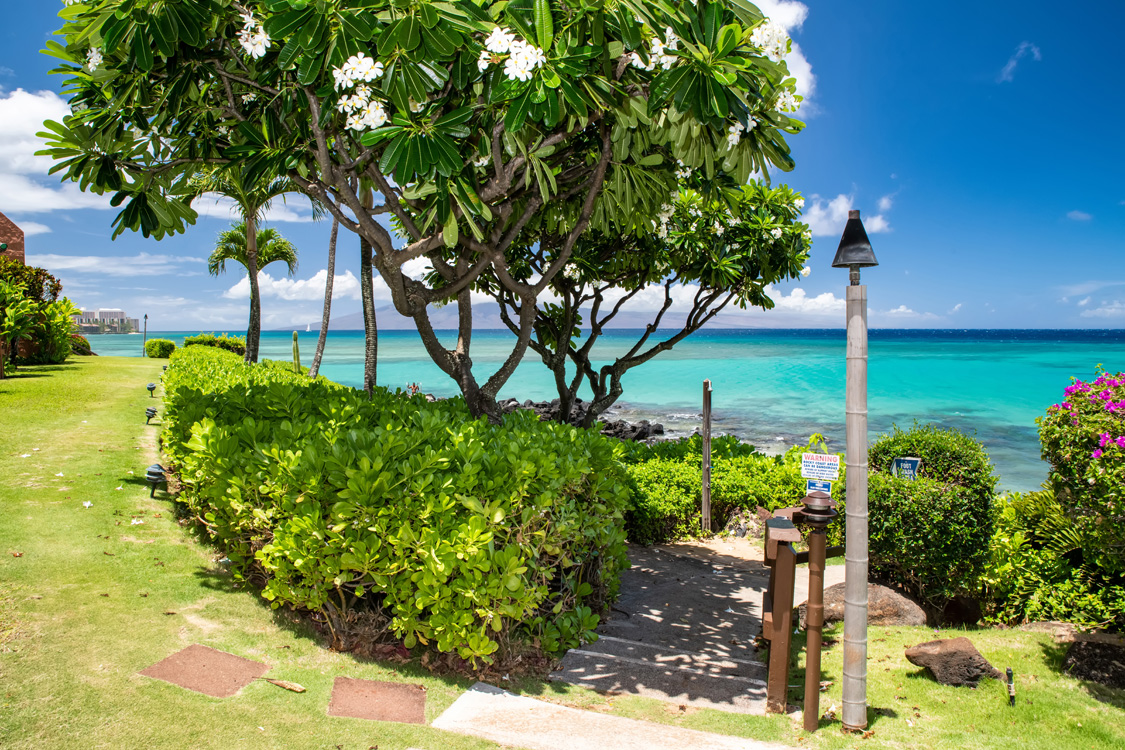 Kuleana Resort 418 | Photo 43