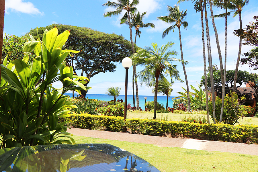 Kuleana Resort 501