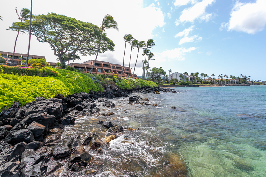 Kuleana Resort 501 | Photo 28
