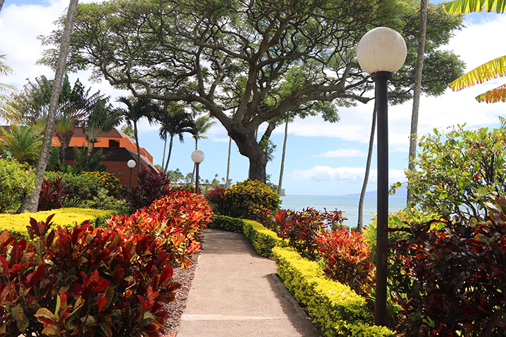 Kuleana Resort 501 | Photo 32