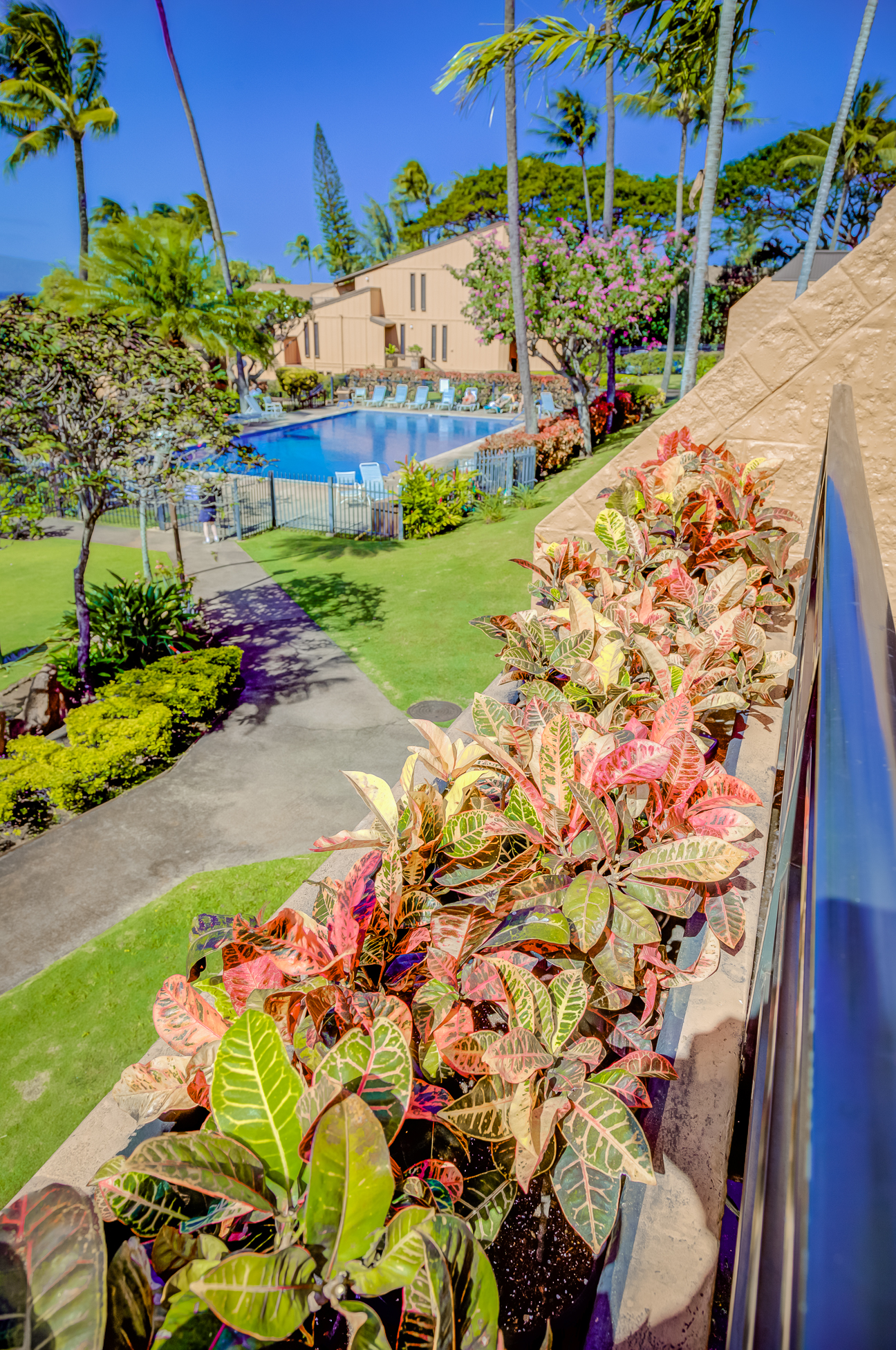 Kuleana Resort 507 | Photo 35