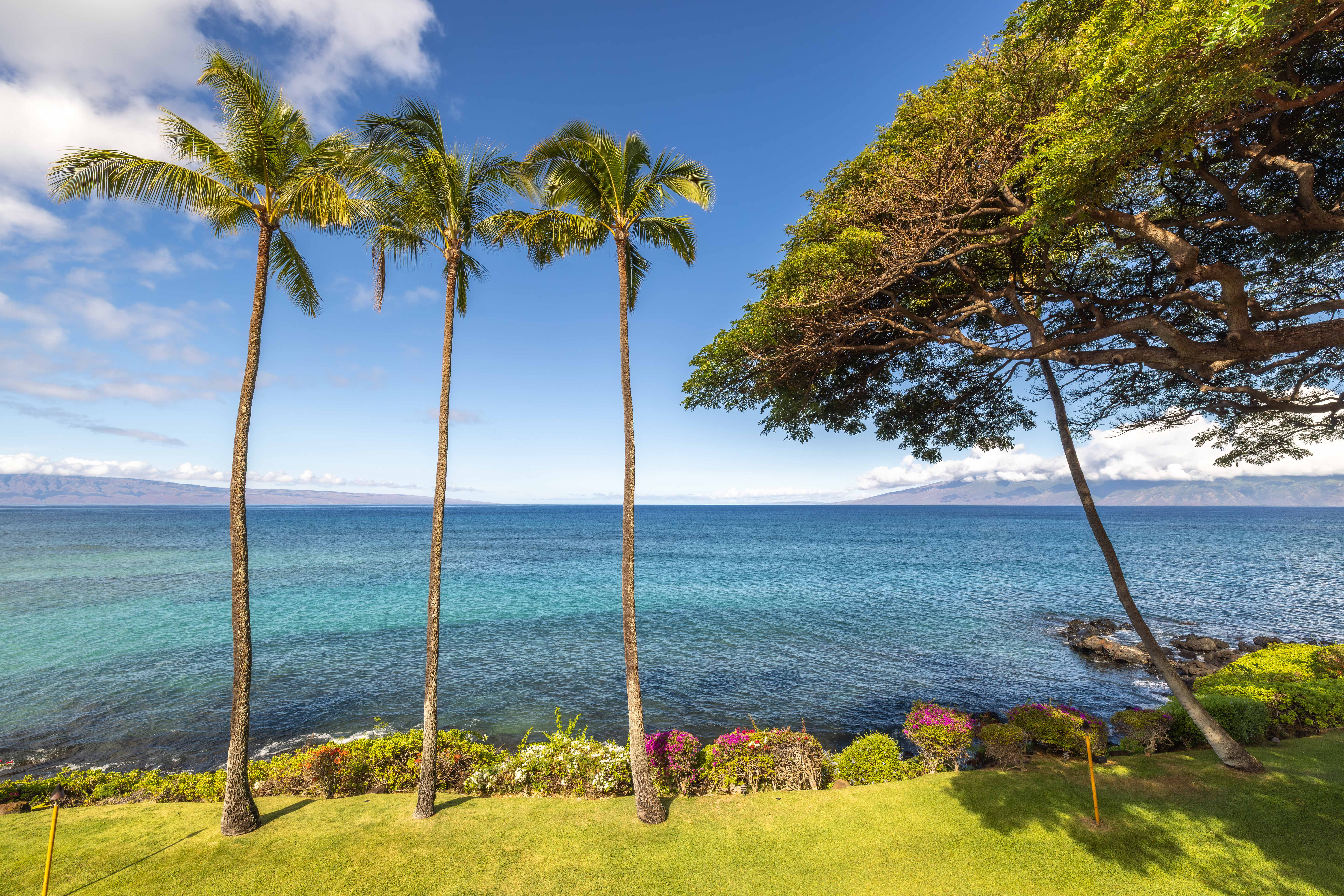 Kuleana Resort 617 | Photo 26
