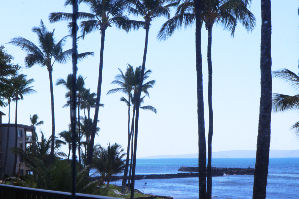 Lauloa Resort 207 | Photo 15