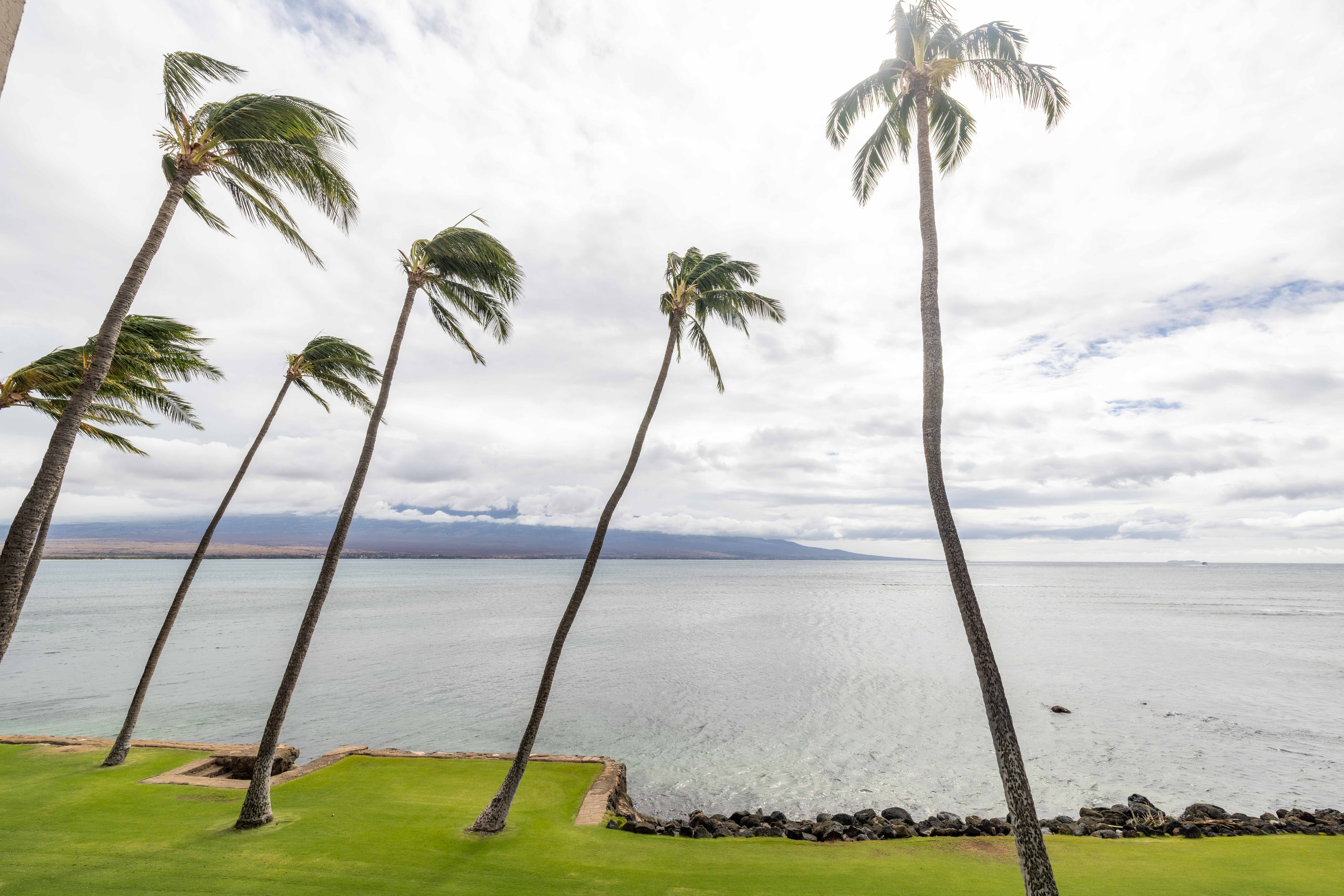 Lauloa Resort 207 | Photo 40