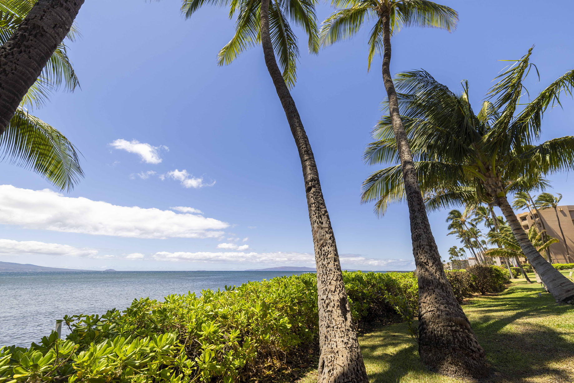 Maalaea Banyans 202 | Photo 38