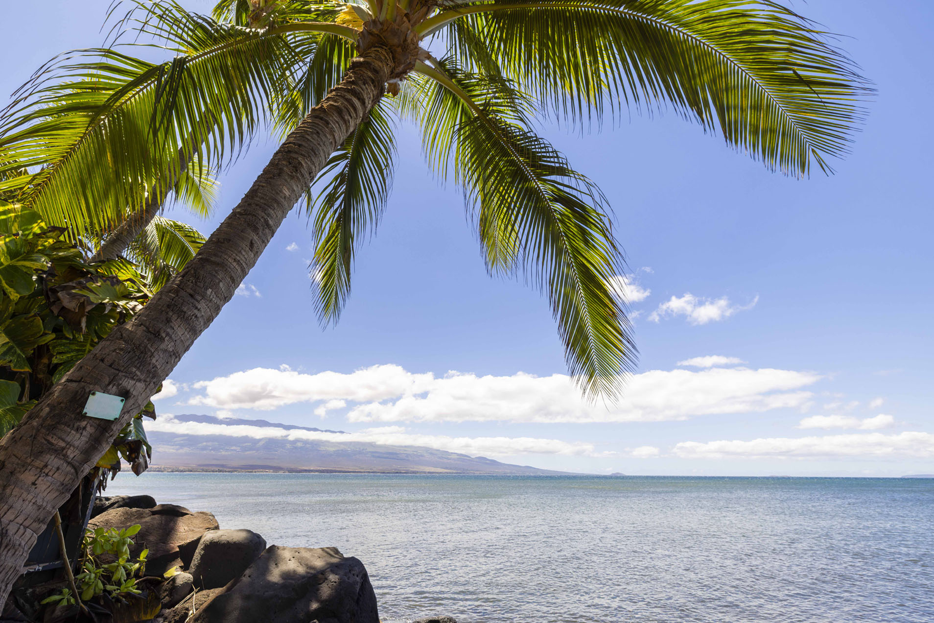 Maalaea Banyans 202 | Photo 40