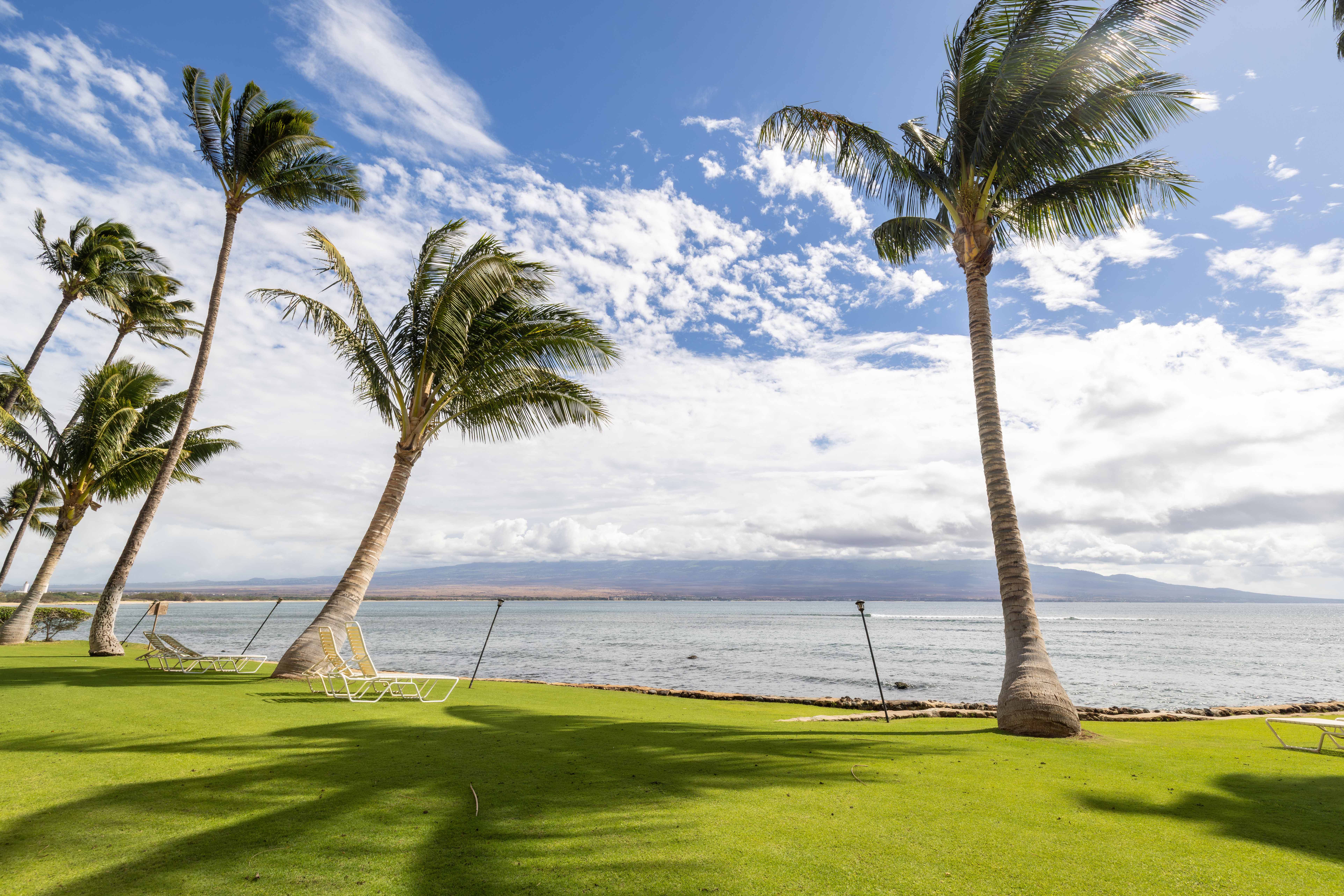 Maalaea Kai Resort 117 | Photo 66