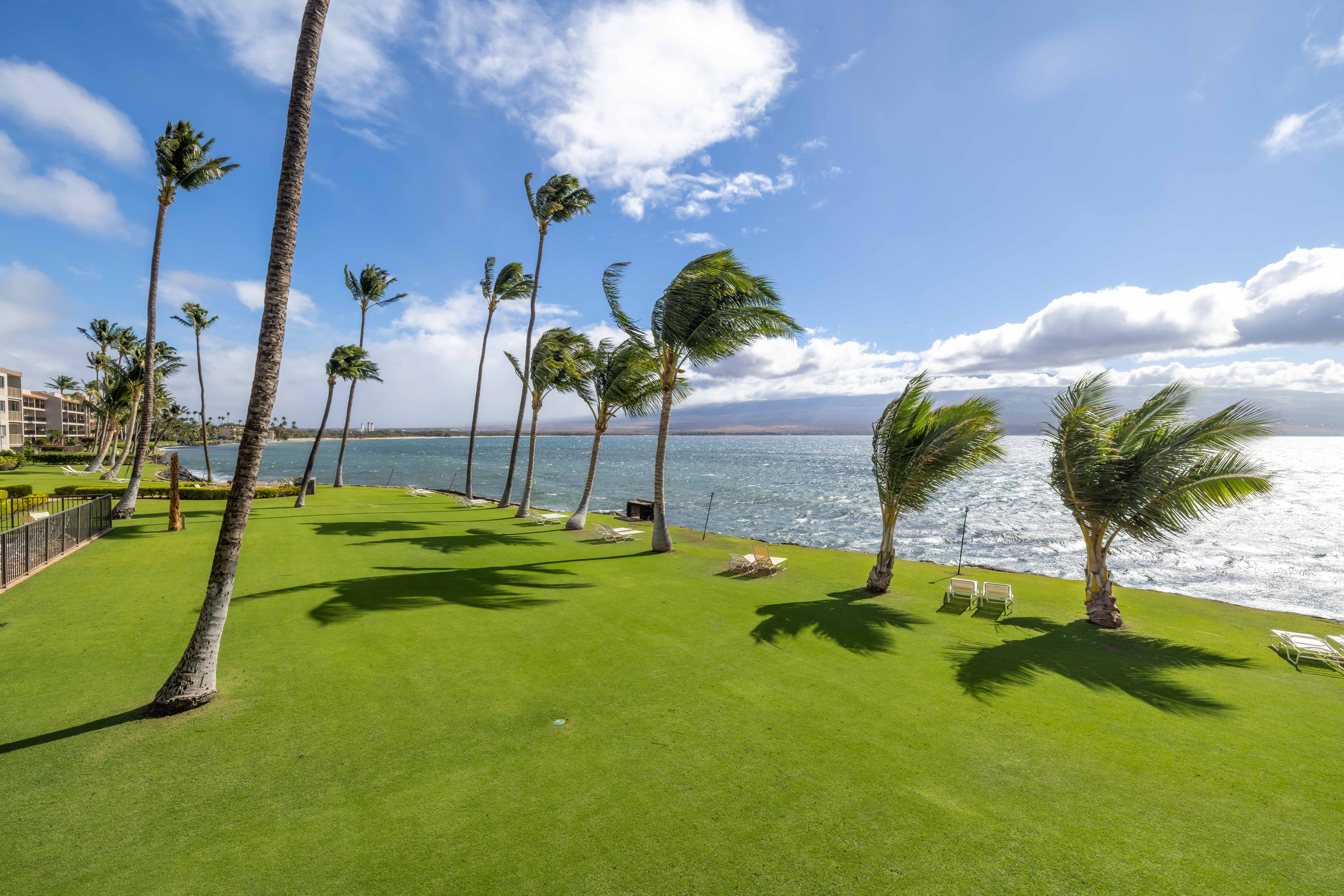 Maalaea Kai Resort 202 | Photo 52