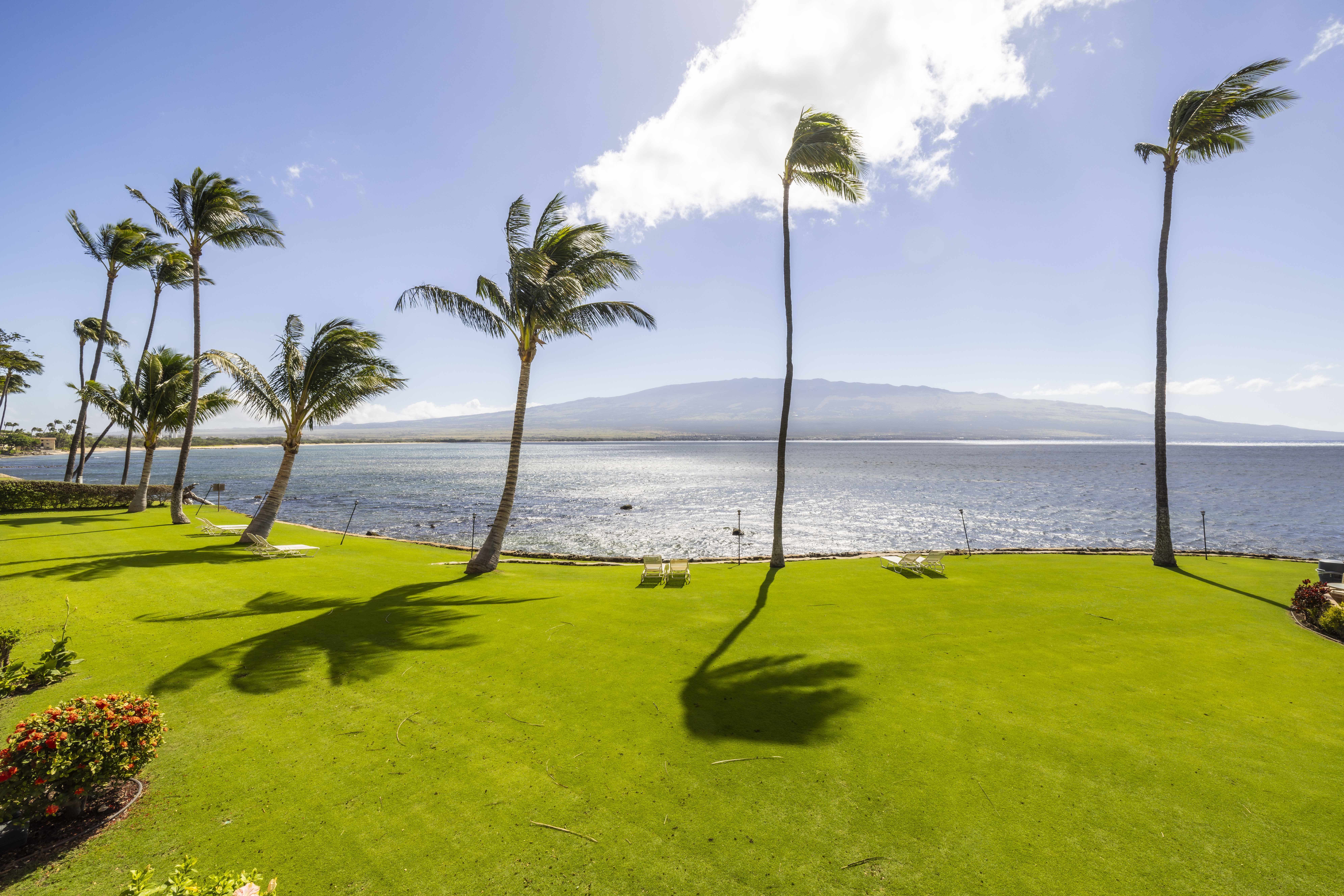 Maalaea Kai Resort 214 | Photo 30