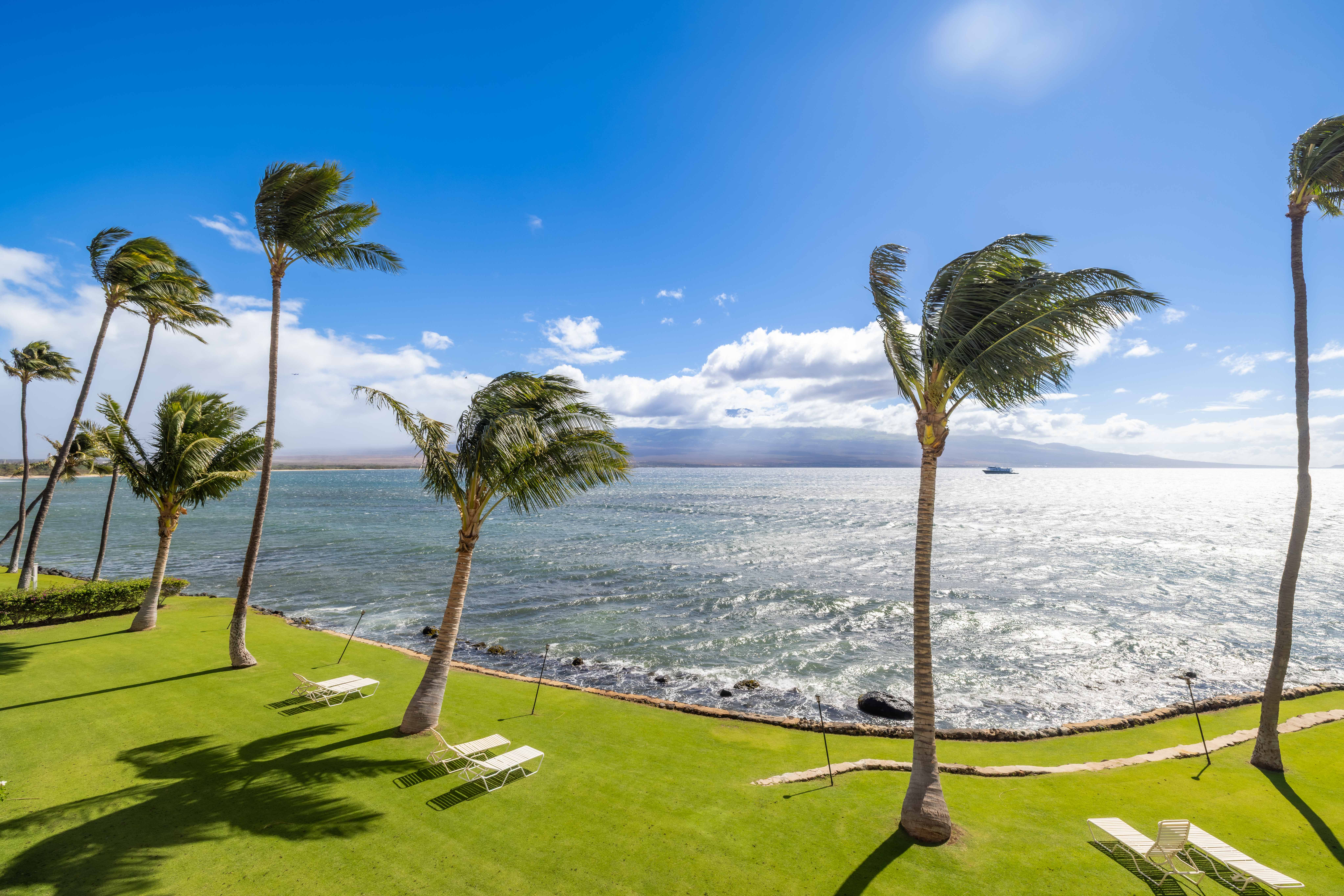 Maalaea Kai Resort 317 | Photo 37