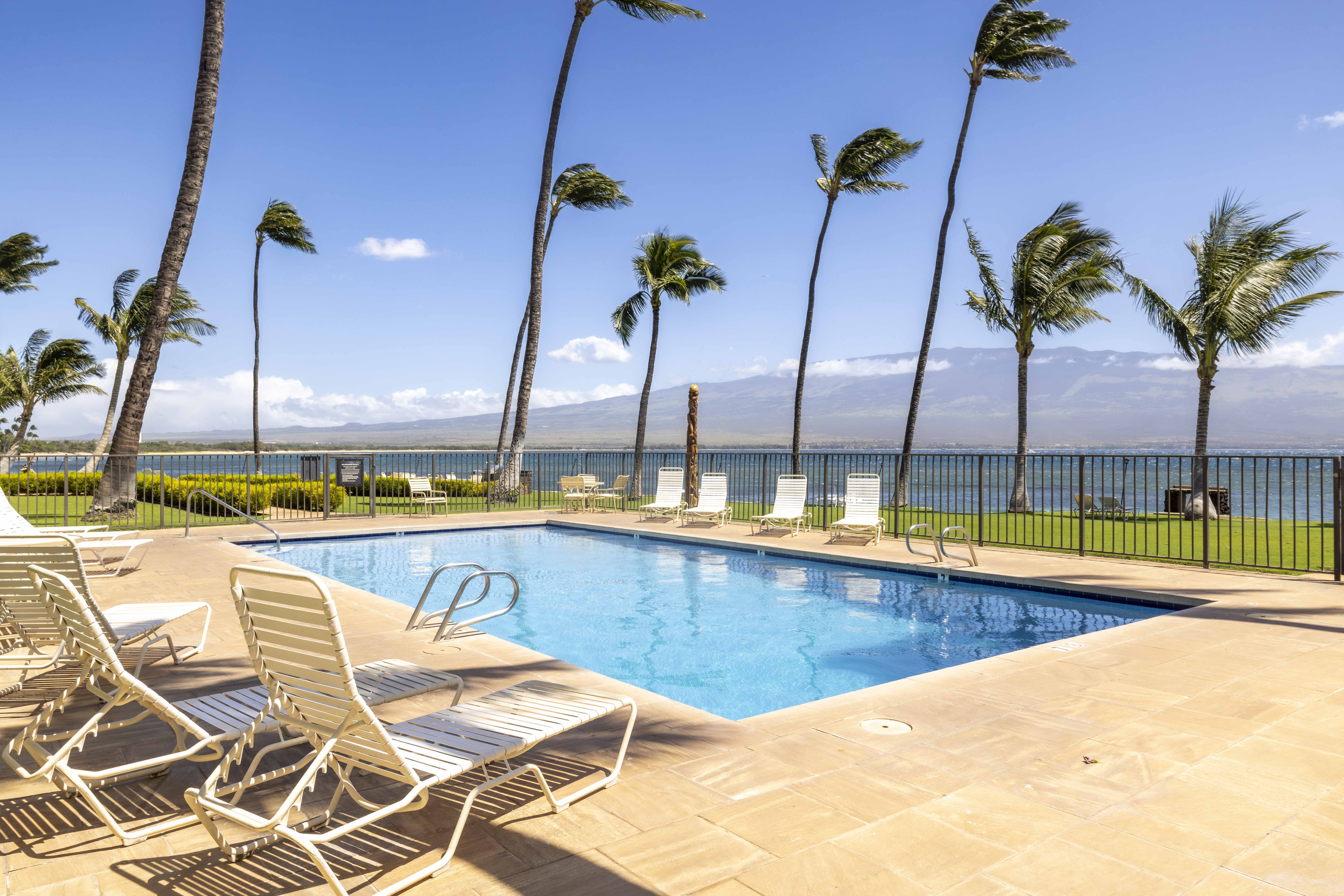 Maalaea Kai Resort 317 | Photo 5