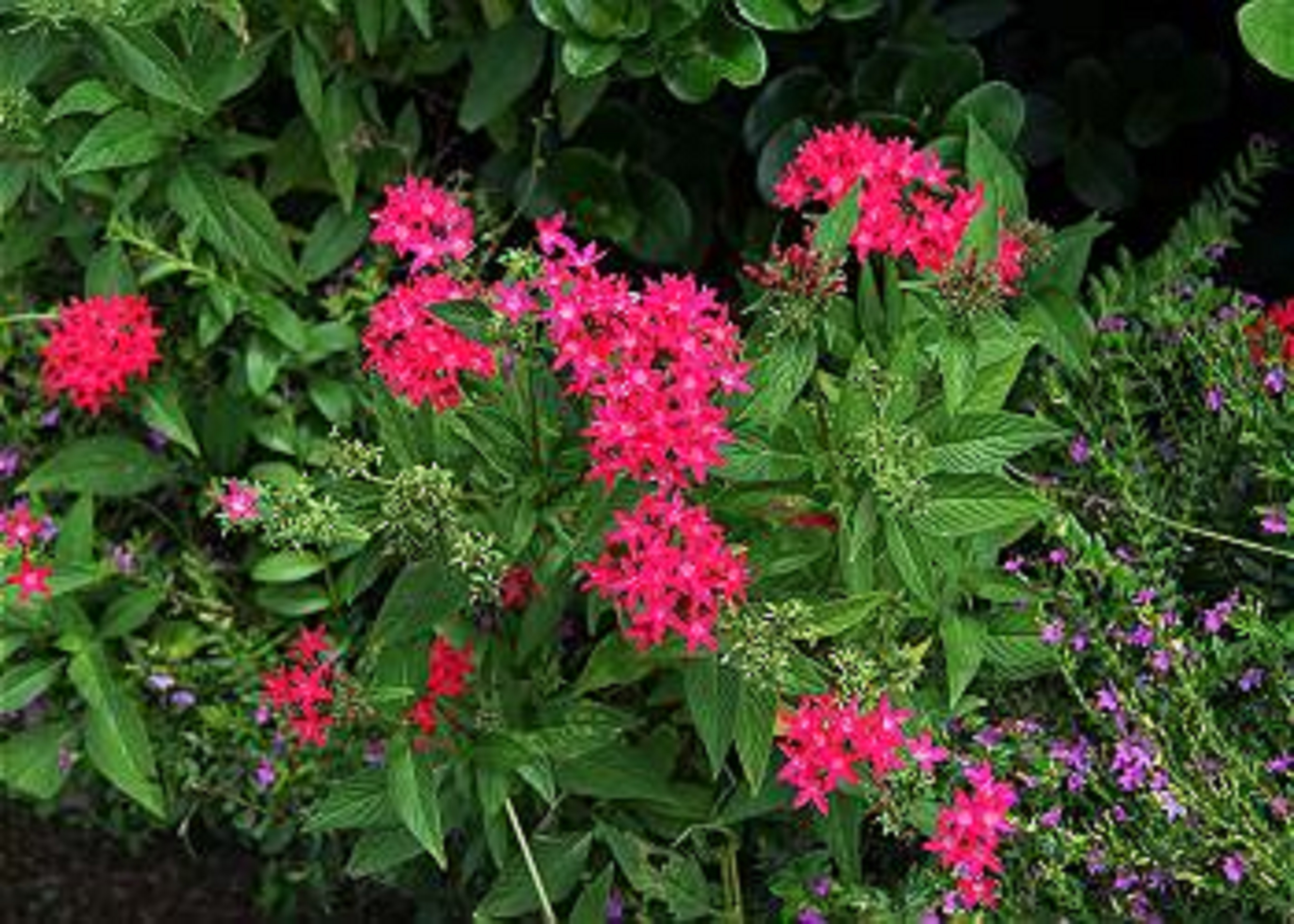 Makani A Kai Resort A-3 | Photo 38