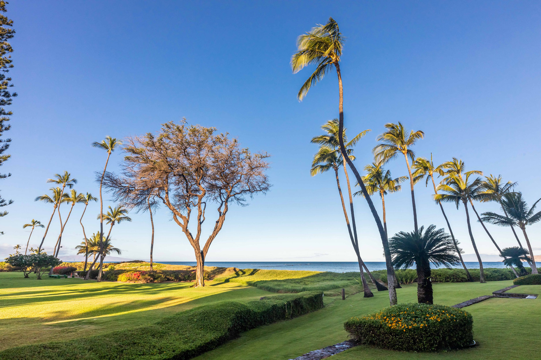 Menehune Shores Unit 124 | Photo 40