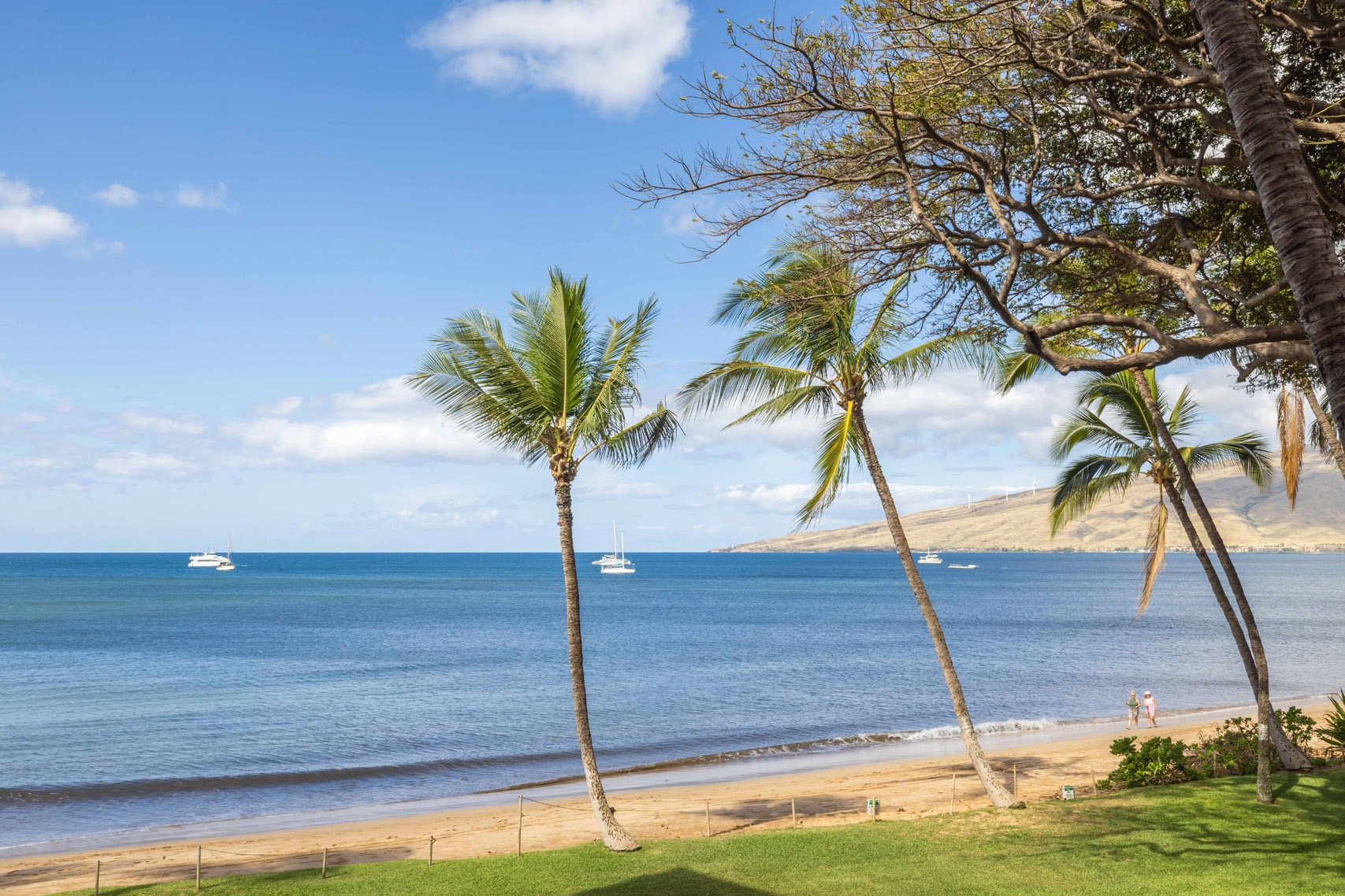 Kealia Resort 206 | Photo 33