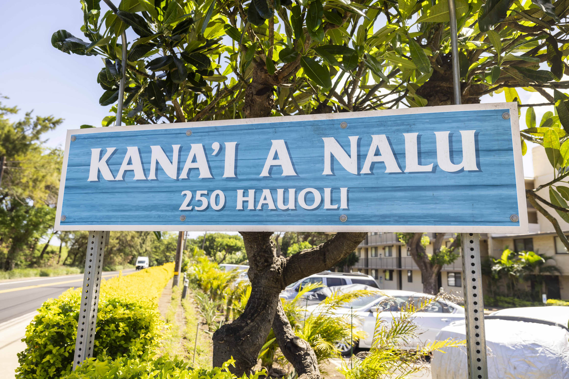 Kanai A Nalu Resort 110 | Photo 22
